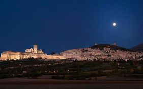 Camere Rosy